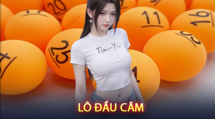 Giải thích thuật ngữ lô câm dễ hiểu cho người mới